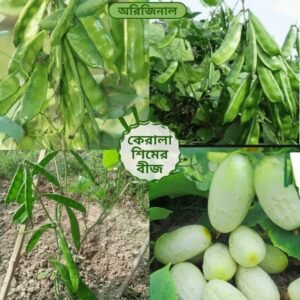 ২ প্যাকেট ১২ মাসি কেরালা সিম